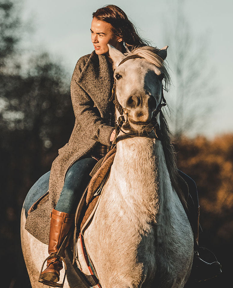 Equine attire online